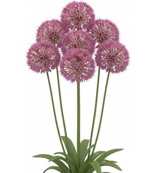 2.200 plantes 2D & 3D pour Vectorworks, prêt à l'emploi !