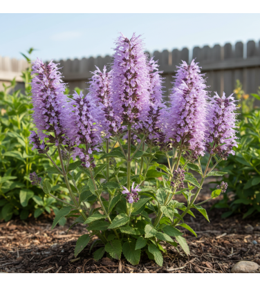 2.200 plantes 2D & 3D pour Vectorworks, prêt à l'emploi !