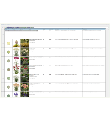 Pack 378 Perennials Vectorworks 2025 – Lightweight 2D and 3D