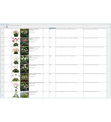 Pack 378 Perennials Vectorworks 2025 – Lightweight 2D and 3D