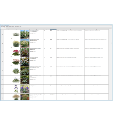 Pack 378 Perennials Vectorworks 2025 – Lightweight 2D and 3D