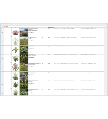 Pack 378 Plantes Vivaces Vectorworks 2025 – 2D & 3D Légères