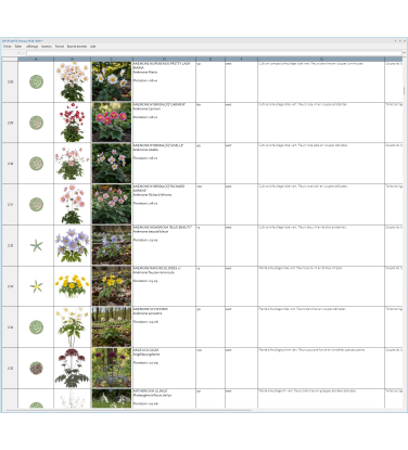 Pack 378 Plantes Vivaces Vectorworks 2025 – 2D & 3D Légères