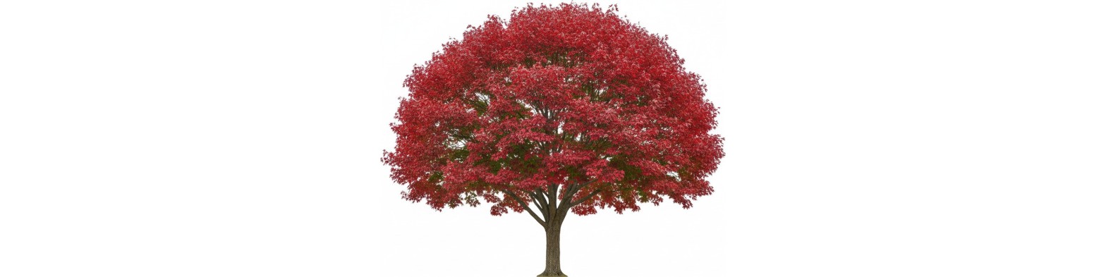 Tree symbols for Vectorworks